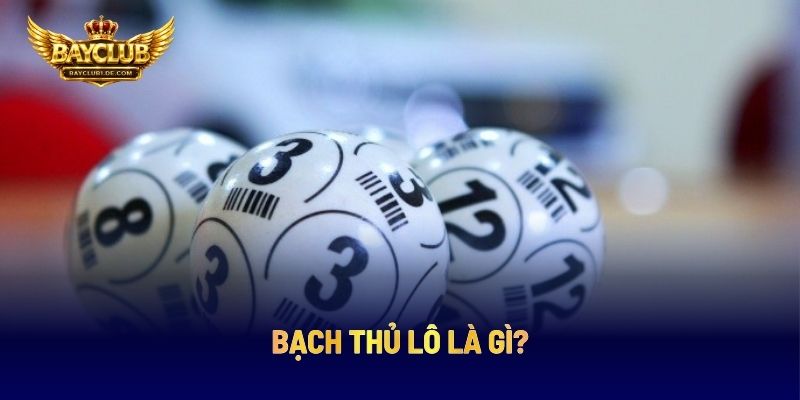 Bạch Thủ Lô Là Gì?