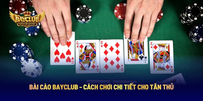 Bài Cào BAYCLUB - Cách Chơi Chi Tiết Cho Tân Thủ
