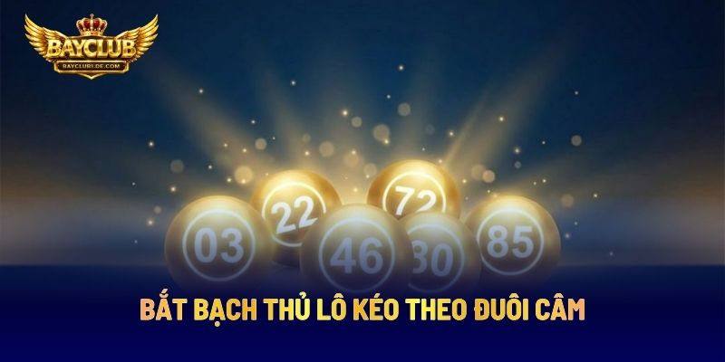 Bắt Bạch Thủ Lô Kéo Theo Đuôi Câm
