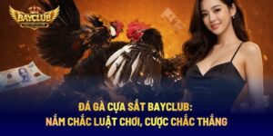 Đá Gà Cựa Sắt BAYCLUB: Nắm Chắc Luật Chơi, Cược Chắc Thắng