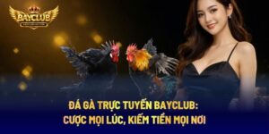 Kèo 2.5 Bóng Đá: Hướng Dẫn Soi Kèo Tài Xỉu Chuẩn Tại BAYCLUB