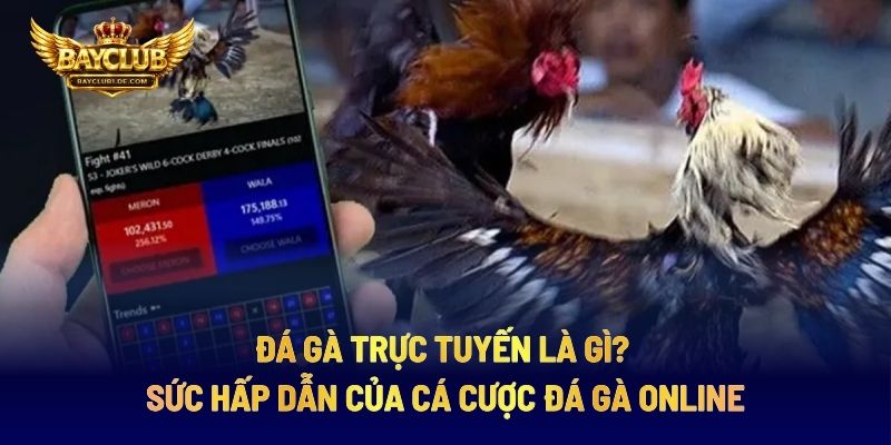 Đá Gà Trực Tuyến Là Gì? Sức Hấp Dẫn Của Cá Cược Đá Gà Online