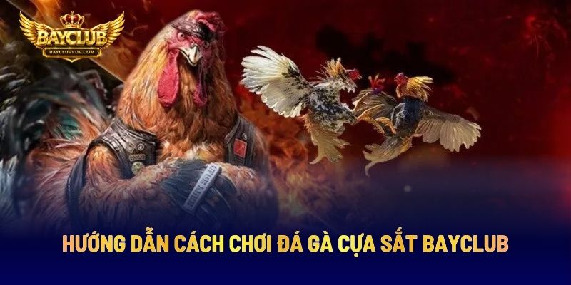 Hướng Dẫn Cách Chơi Đá Gà Cựa Sắt BAYCLUB