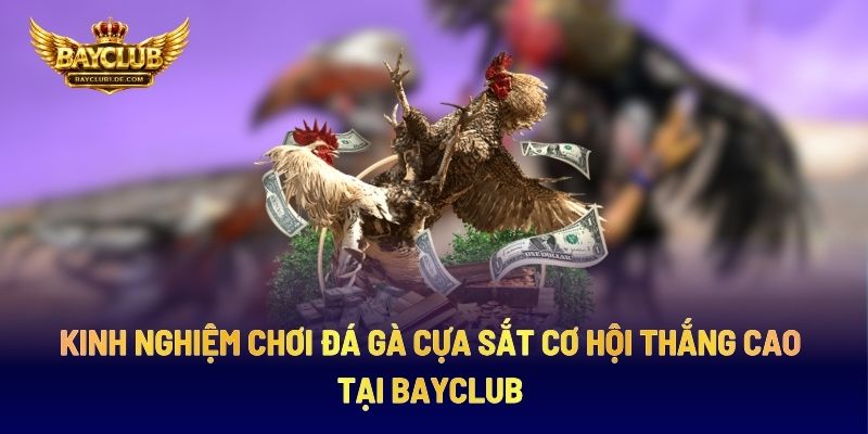 Kinh Nghiệm Chơi Đá Gà Cựa Sắt Cơ Hội Thắng Cao Tại BAYCLUB