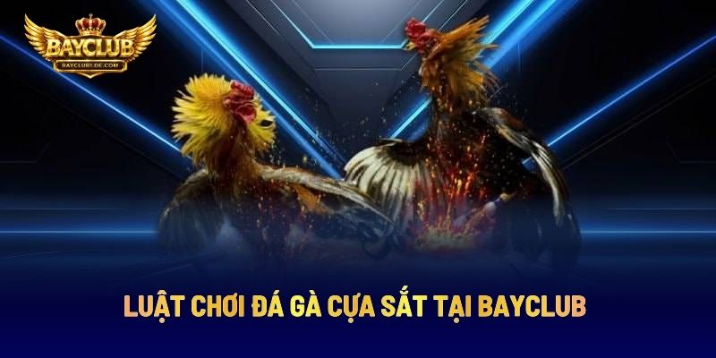 Luật Chơi Đá Gà Cựa Sắt Tại BAYCLUB