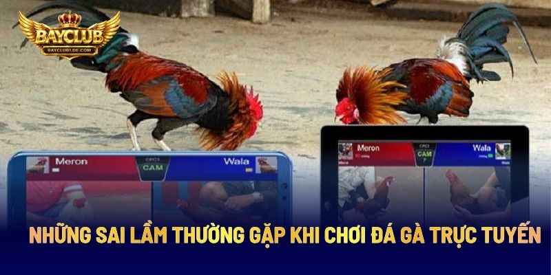 Những Sai Lầm Thường Gặp Khi Chơi Đá Gà Trực Tuyến