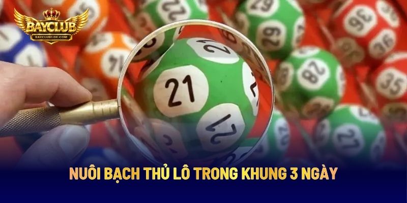 Nuôi Bạch Thủ Lô Trong Khung 3 Ngày